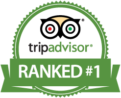 J & L Kayaking - Ranked #1 North Myrtle Beach Kayak Tour by TripAdvisor